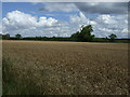 Farmland near New Hayes Farm