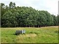 Cattle trough on Chapel Common