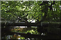 Guarded Pipe in Foxhill Bank Woods