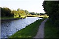 SP9214 : The Grand Union Canal Walk looking south by Steve Daniels