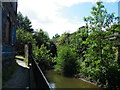 River Sheaf, Heeley, Sheffield - 2