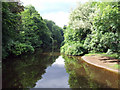 The River Kelvin