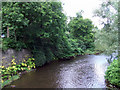 The River Kelvin