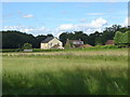 Field alongside Clews Lane