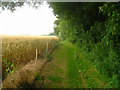 Public footpath by Middle Moor