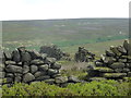 SK2394 : Old walls on Broomhead Moor by Andrew Hill