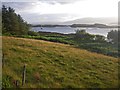 NG2149 : Coastal terrace above Loch Dunvegan  by C Michael Hogan