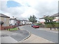 Ealand Avenue - Ealand Crescent