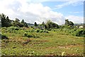 Telling and Coates old nursery site