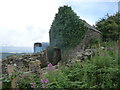 Old stone barn high above Lydbrook