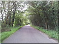 A tree-lined country road south of Hightown Green