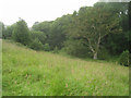 Oakhanger stream valley