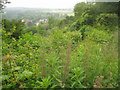 View from the Zig-Zag path