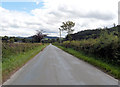 Straight road approaching Dolobran Hall turning