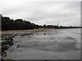 View north up Llanbedrog beach