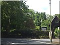 Trees and  the Lych gate of St Blaisius Church