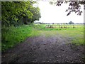 Track at the side of the allotments, Tostock