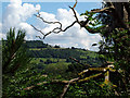 View from Peak Forest Canal tow path