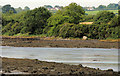 J5265 : Inter-tidal mud, Reagh Island near Comber (1) by Albert Bridge