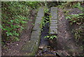 Water channel on the Clyne Trail