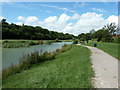 Pond on the west side of Hailsham