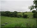 N7089 : Hilly grassland near Tullyaran by Richard Webb