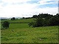 Fields east of Orton