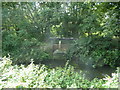 Disused sluice gate by Hailsham Mill