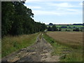 Farm track off Carlton Road (footpath)