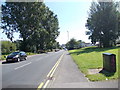 Cambridge Road - viewed from Servia Road