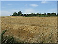 Farmland towards the railway