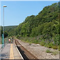 A green view SW from Abercynon railway station