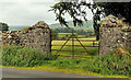 Gate near Larne