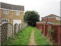 A path at Woodthorpe