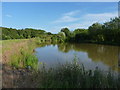 Fishing pool, Kingsnordley, near The Rough