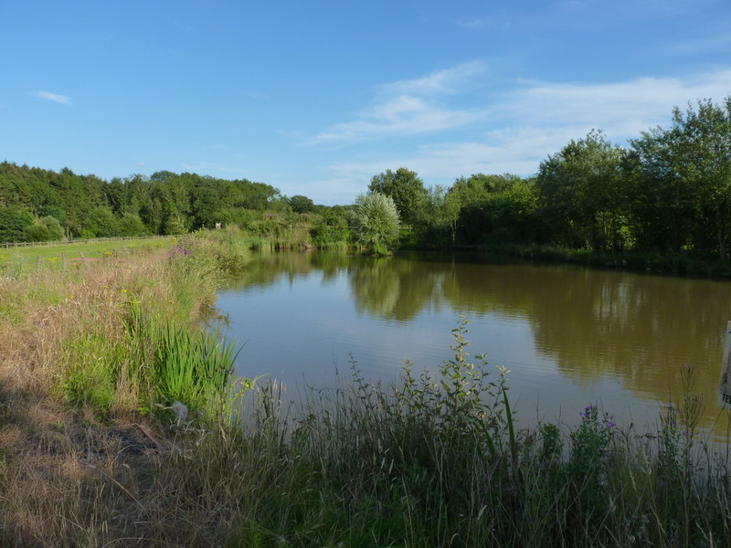 Fishing pool, Kingsnordley, near The... © Richard Law cc-by-sa/2.0 ...