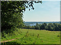 View towards Bewl Water