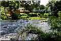 Caravan park by the River Teviot