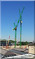 Tower Cranes