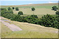 Haymaking above Cwm Du