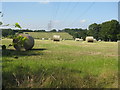 Haymaking at Tarduff