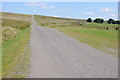 Road ascending Byrgwm