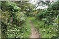 North Bovey: bridleway to Langdon