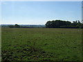 Farmland off Freeby Lane