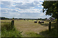 Harvest time, a tractor baling