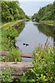 The Sheffield and Tinsley Canal near Carbrook