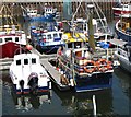 J3114 : Small boats and a dog admiring his own image at Kilkeel Harbour by Eric Jones