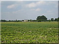 Cottage near Catton