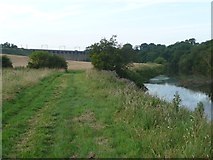 NU2311 : The River Aln west of Lesbury by Russel Wills