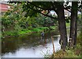 Fly fisherman in The River Don